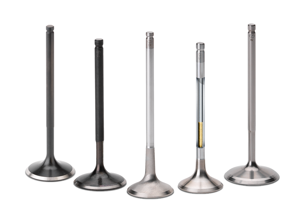 Engine Valves