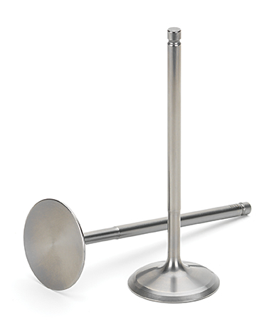 Chrome Intake Valves